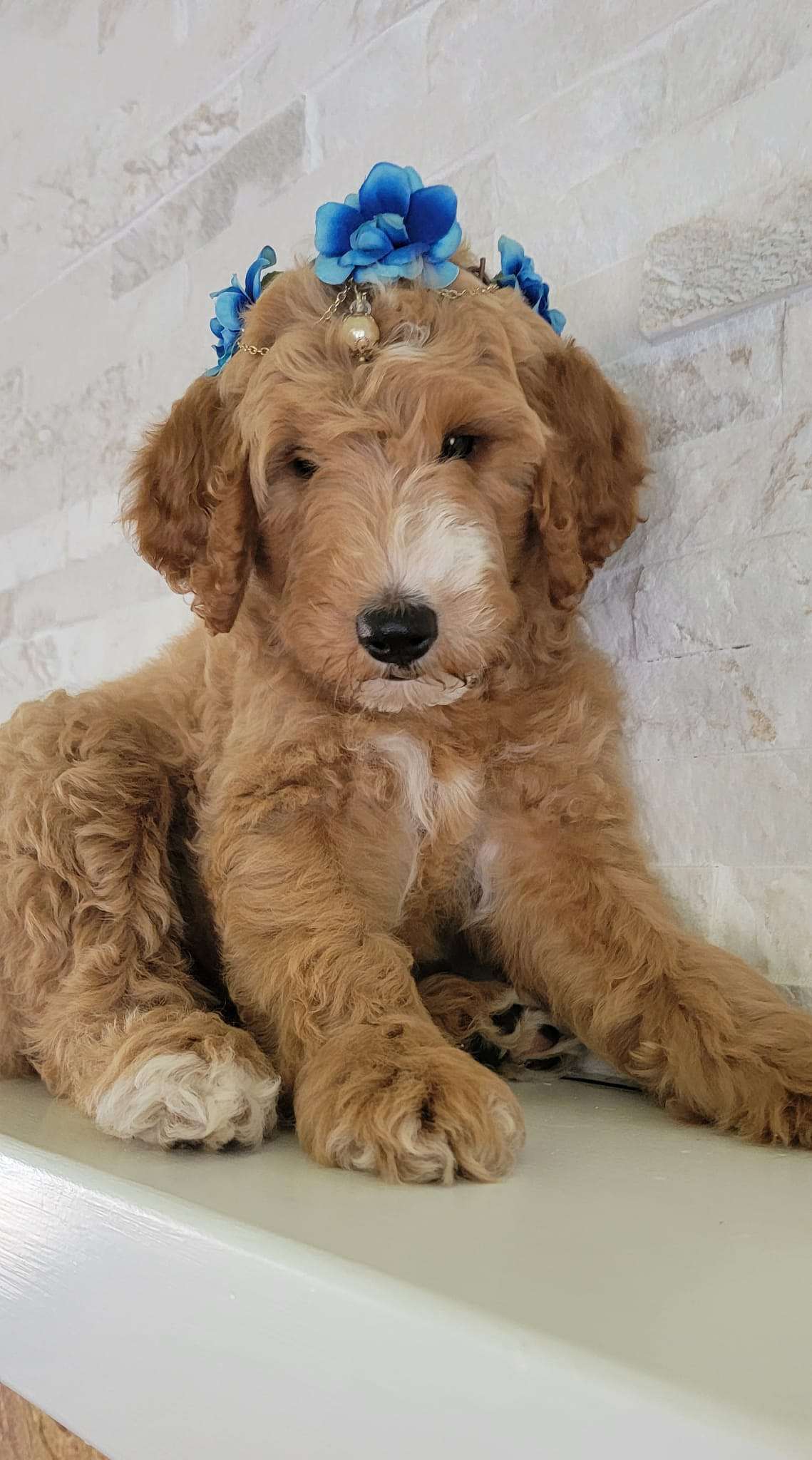 4792aeb9 07ab 46e5 9c0d bba59838972d