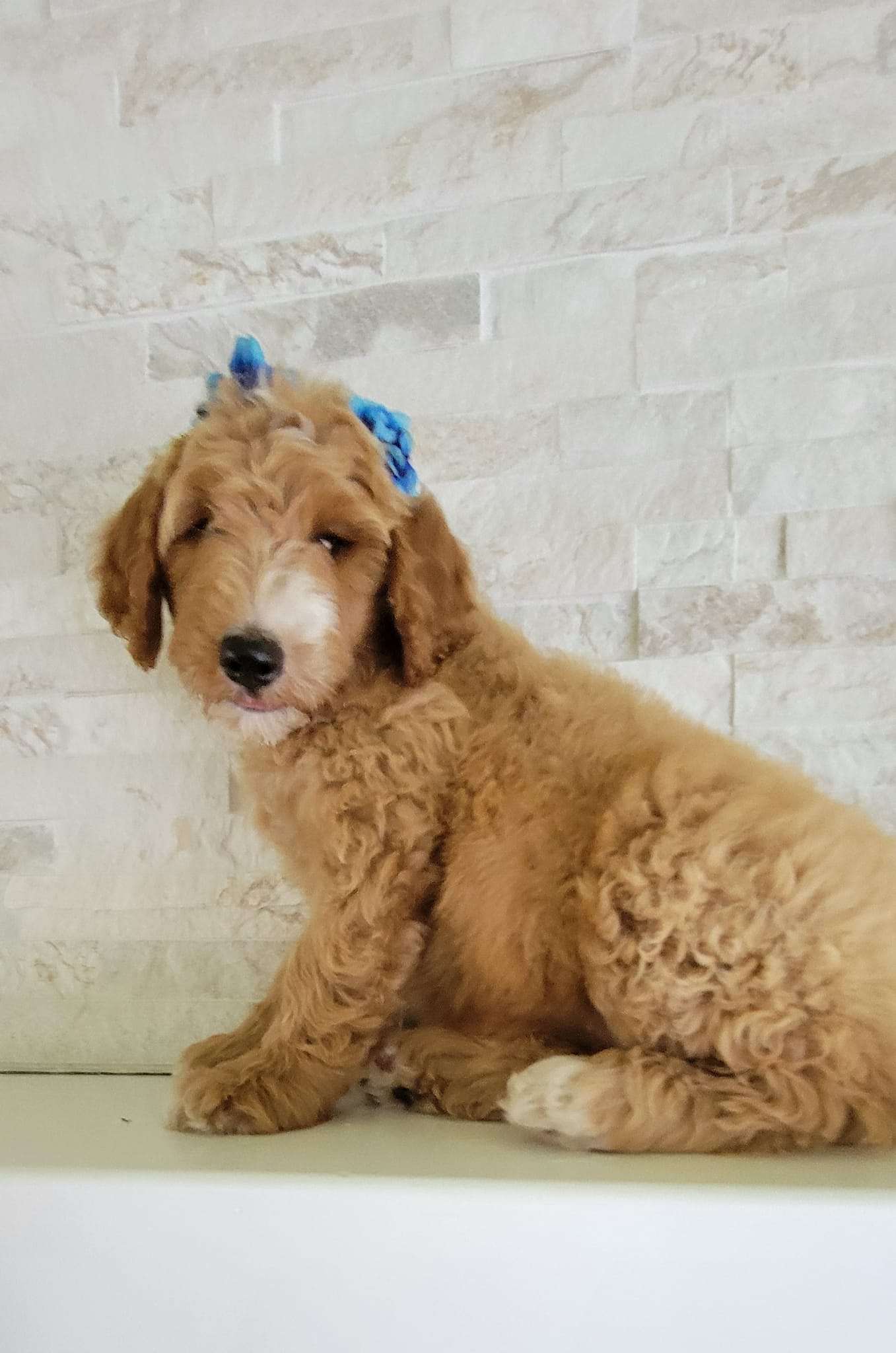 c89ca4de 070a 4348 9230 4447d678fb3f