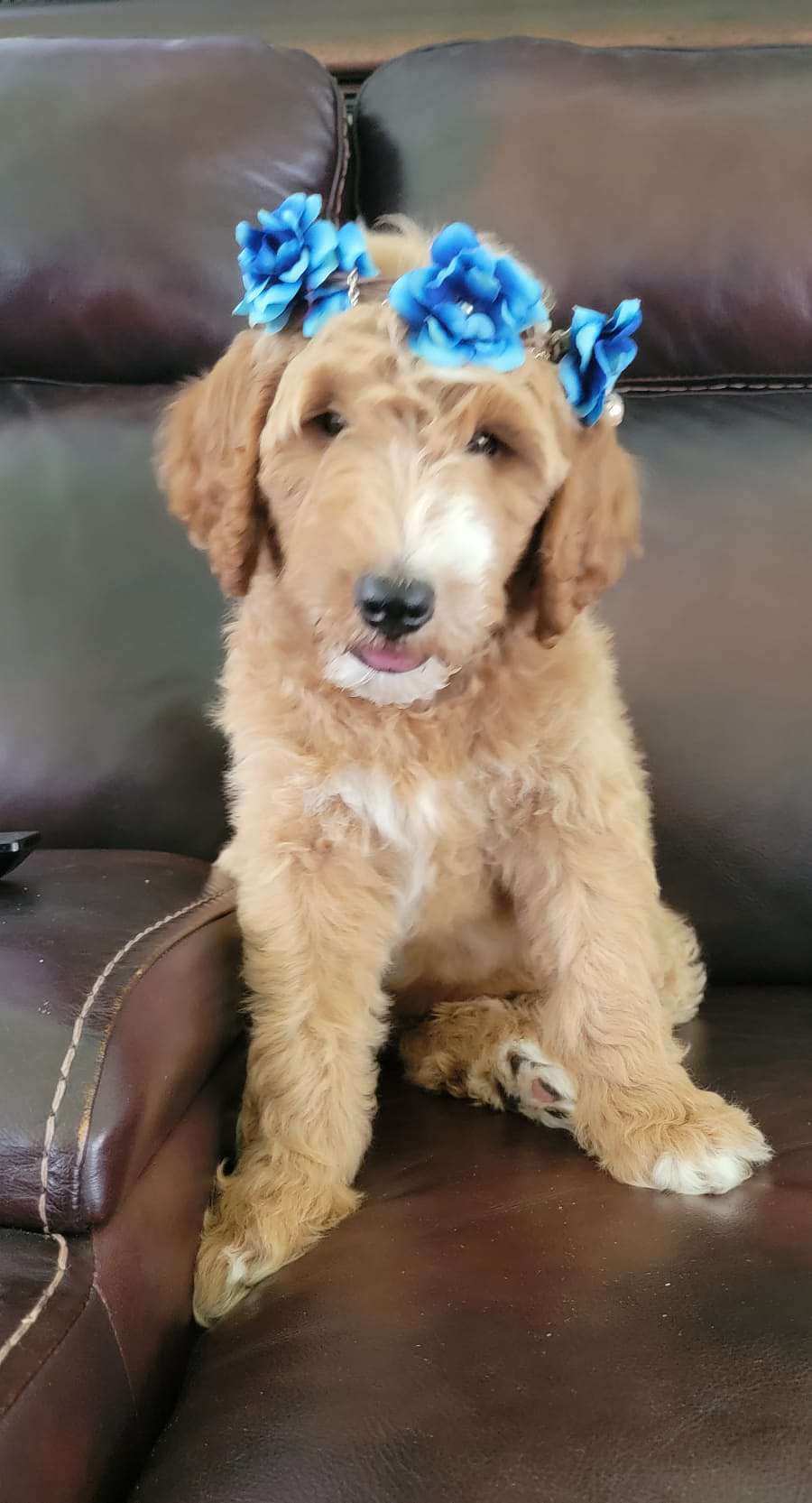 cd484715 5966 409d 9a8f 9d4318739d68