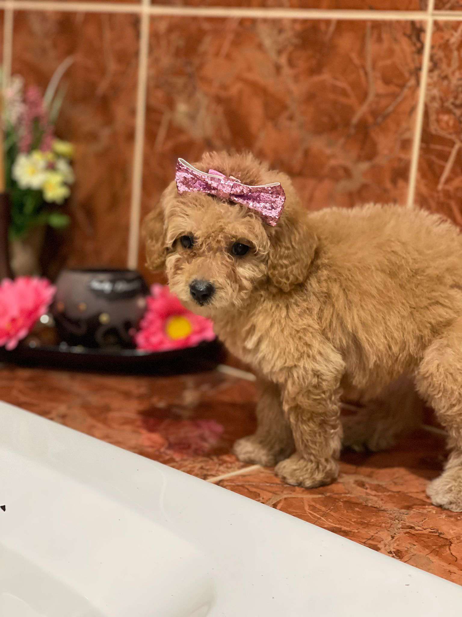 3a5e1f91 380e 4779 bb56 f935f9c80af4