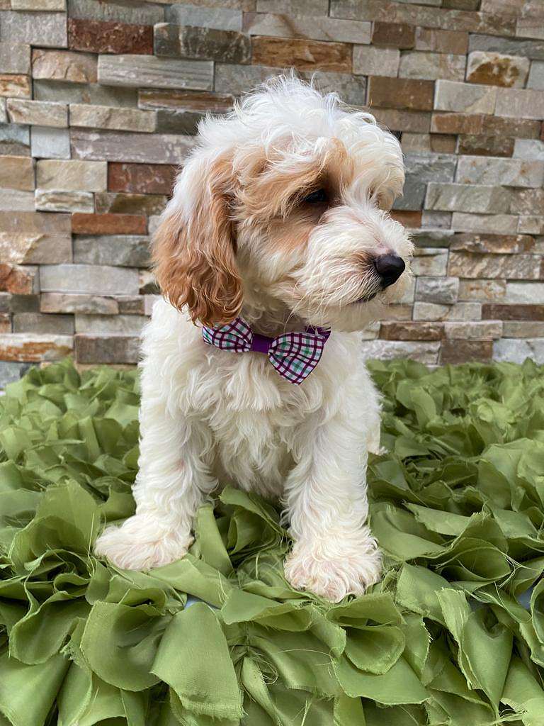 7fe164ec cd00 4c24 b49c 07072ec05e6c