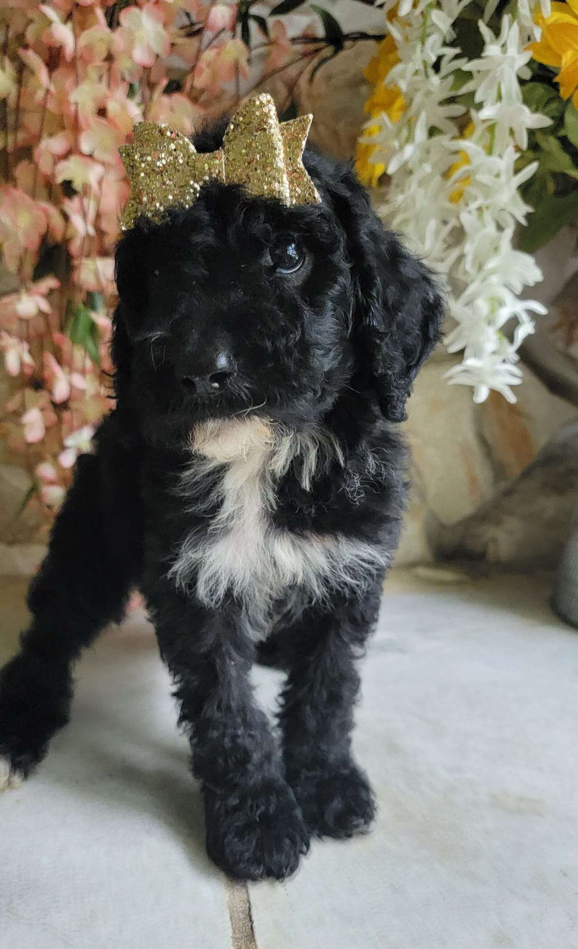 874b9b08 ebc2 495f 8bb8 163b680aca96