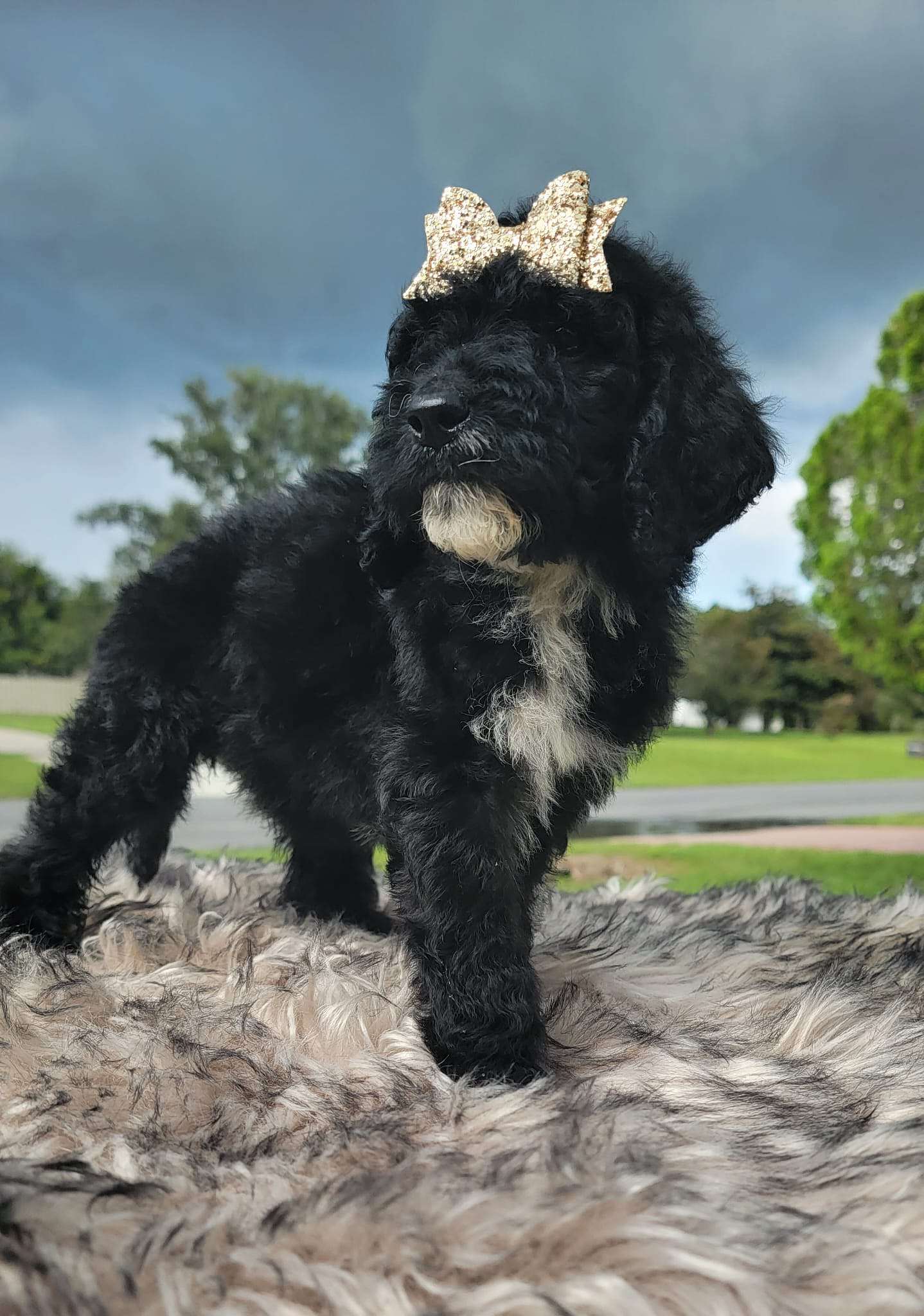 9738b898 2467 4e0c 85fc 2e6db4e7fad7