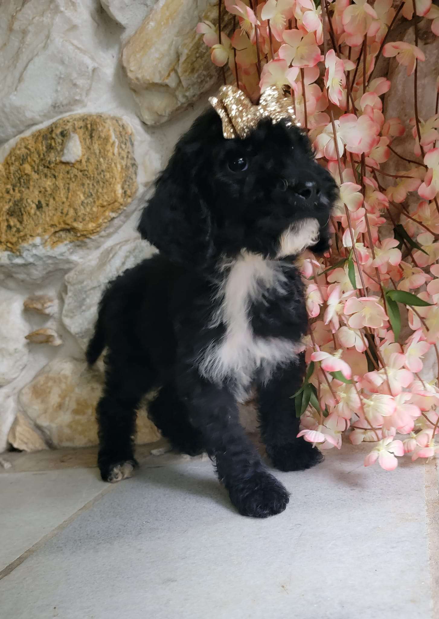 e108694c 318a 46d8 b642 488e31637e02