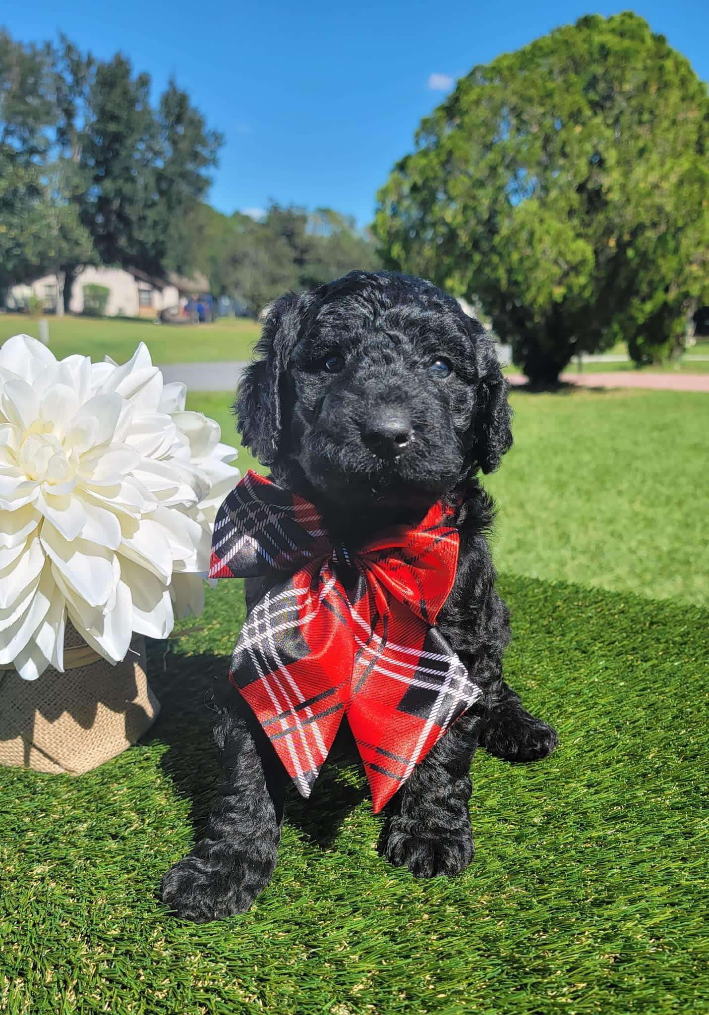 b34048d6 5ed7 4e2f a006 6dba92c5670e