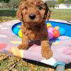 4de850d0 9256 4828 a808 88ca168ffe3f