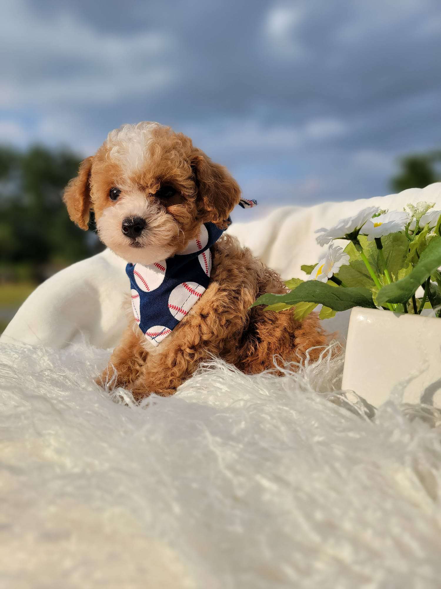 4840f5ab 2a72 4ed0 84e4 5d06d64c80b4