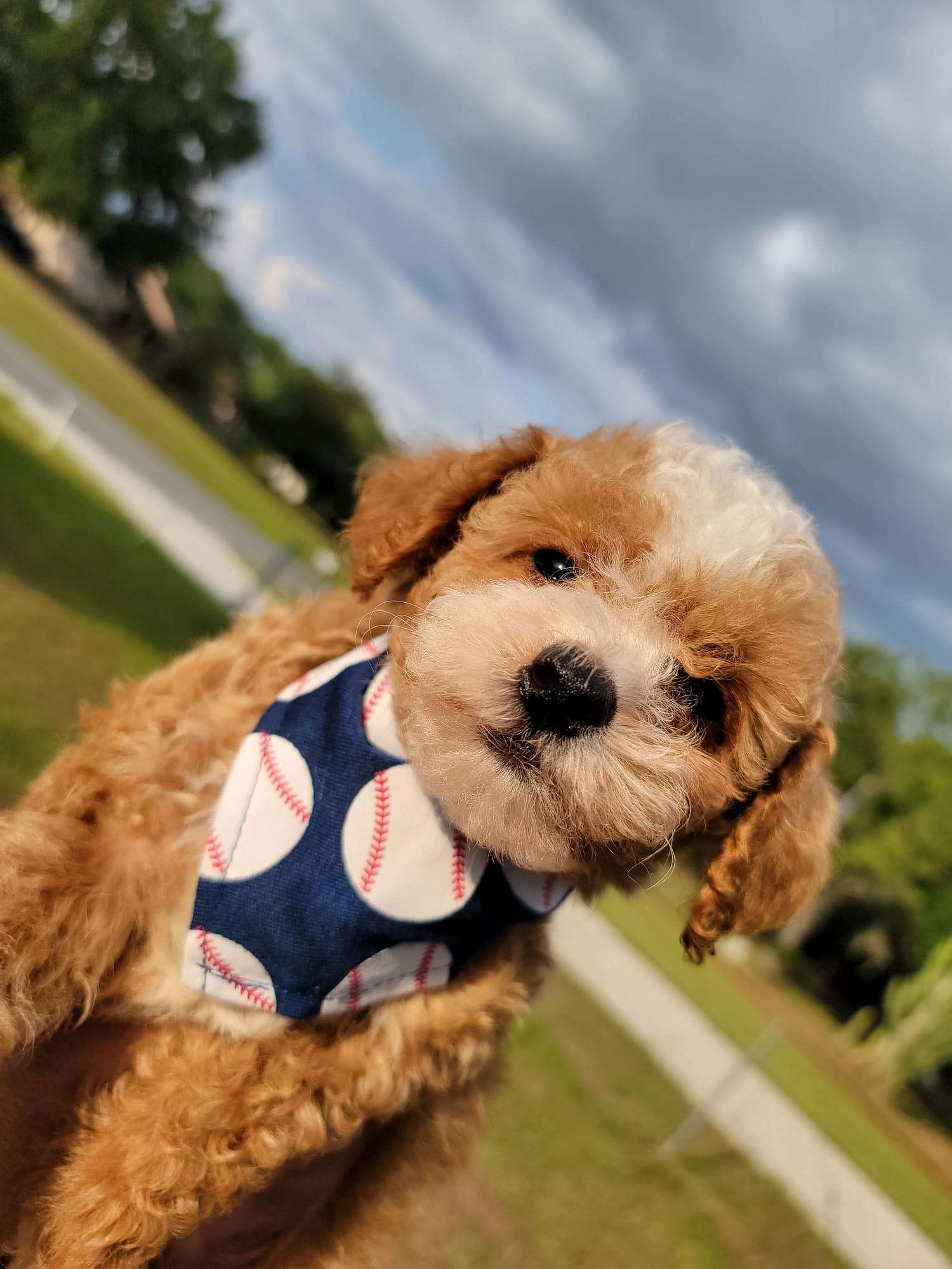 4dc3bea1 7fcb 4e2e a317 8813fe26dc58