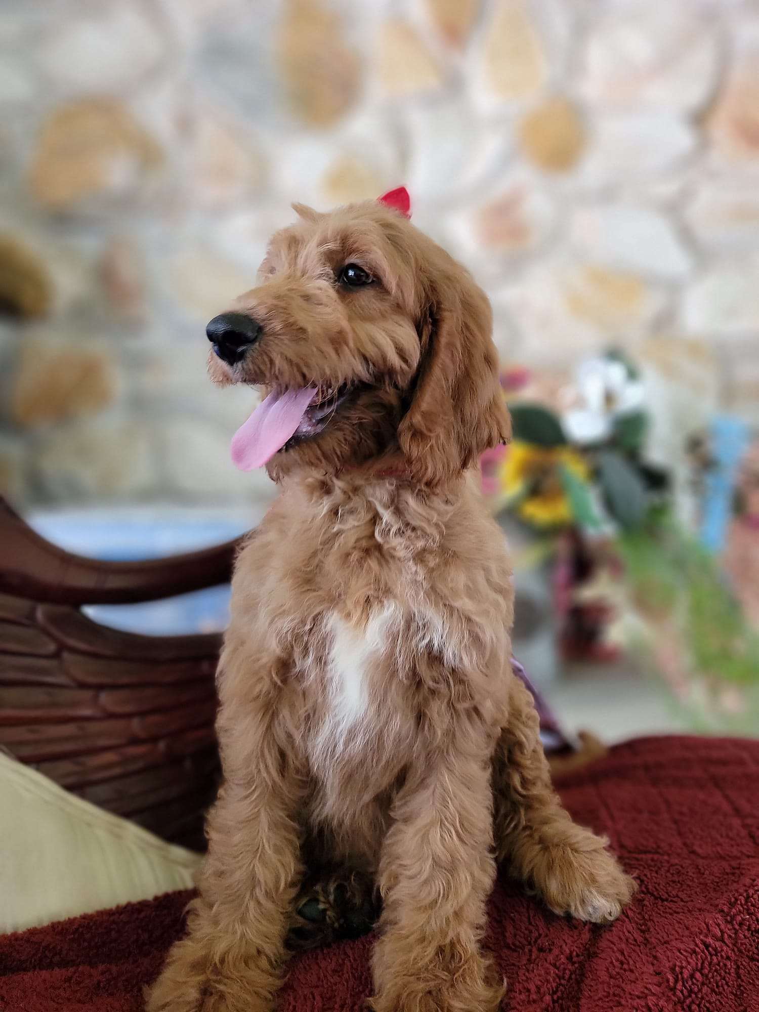 2c3d7e31 f621 42ae a3a8 837e03894b03