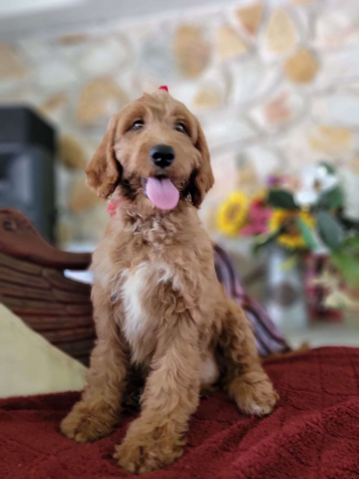 30d0b0b4 d0a0 4dd3 8ab9 c1f62c1b08b7