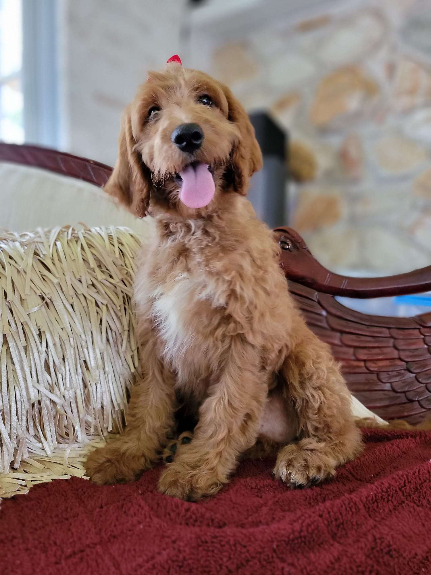 5041d502 0cdd 46f3 8250 185ce5df3a2d