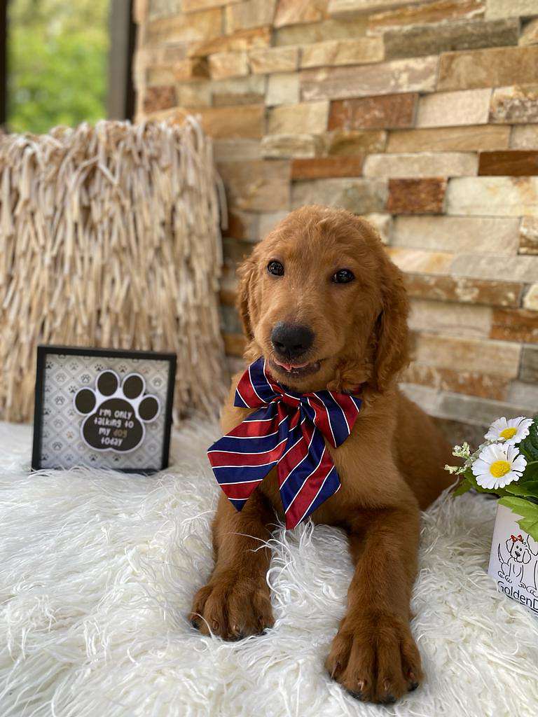 0c710624 252d 4abc 990b 4a81ff08f2ed