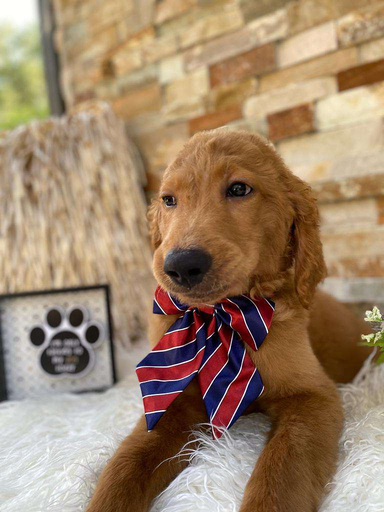 3539d27d 4841 4710 8e45 4eba984af2dd