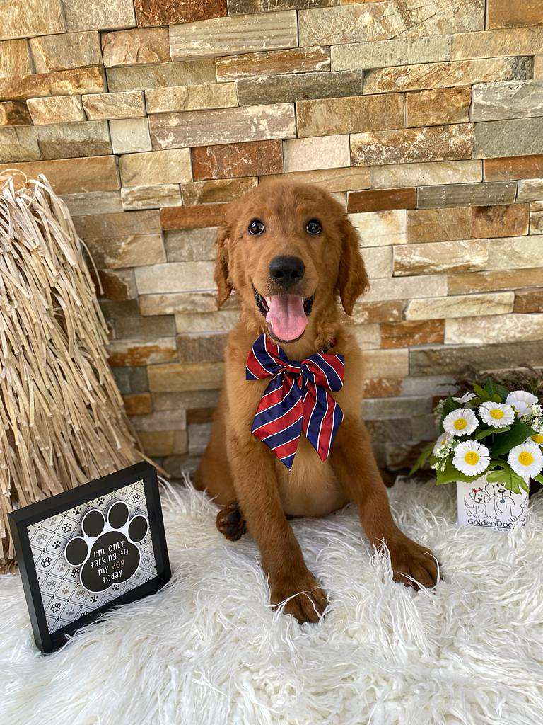 47b294f8 bbca 4778 a4bd b66389951f14