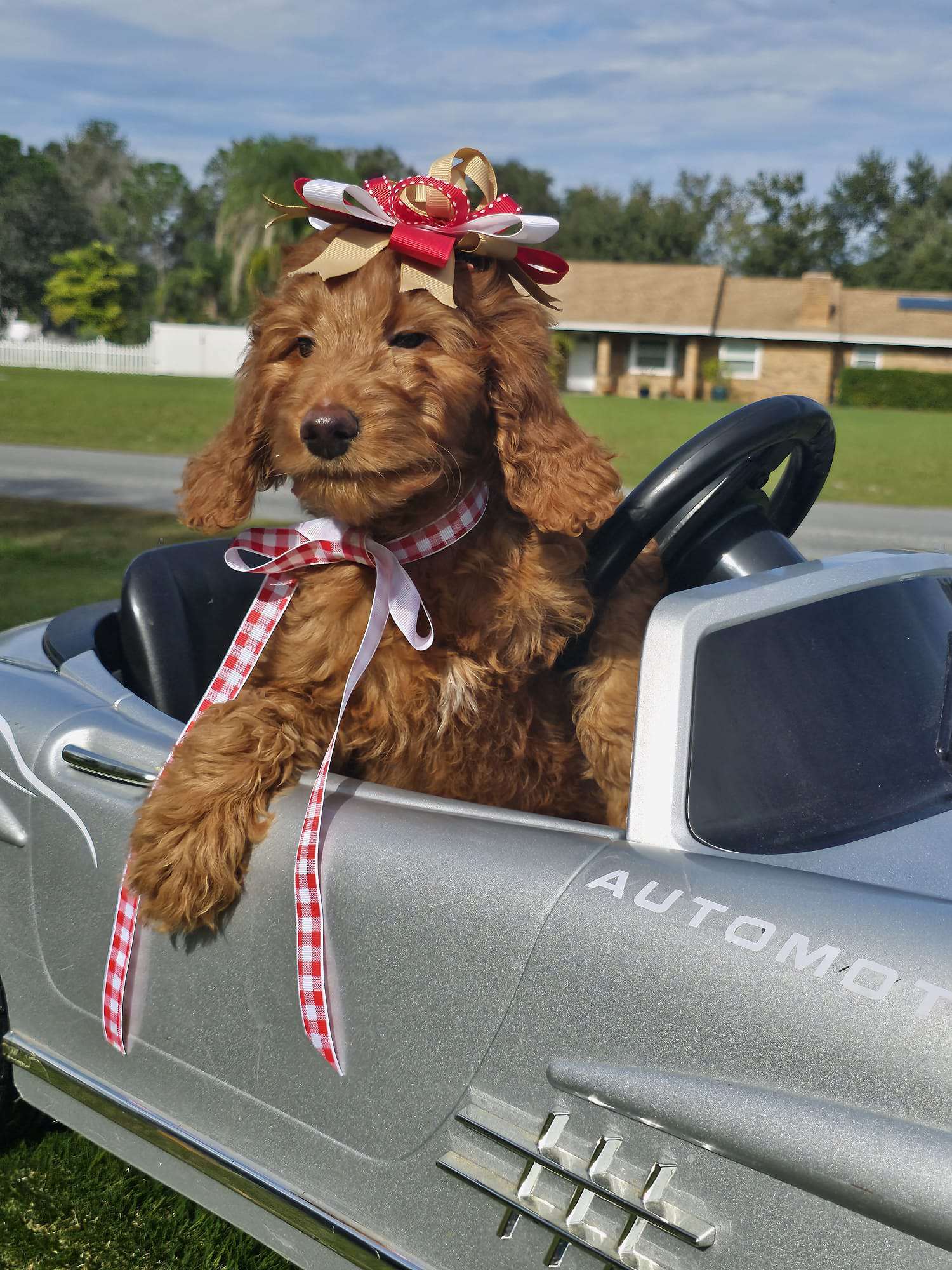 89223bb0 3b87 4274 99f0 e6e3700b4fef