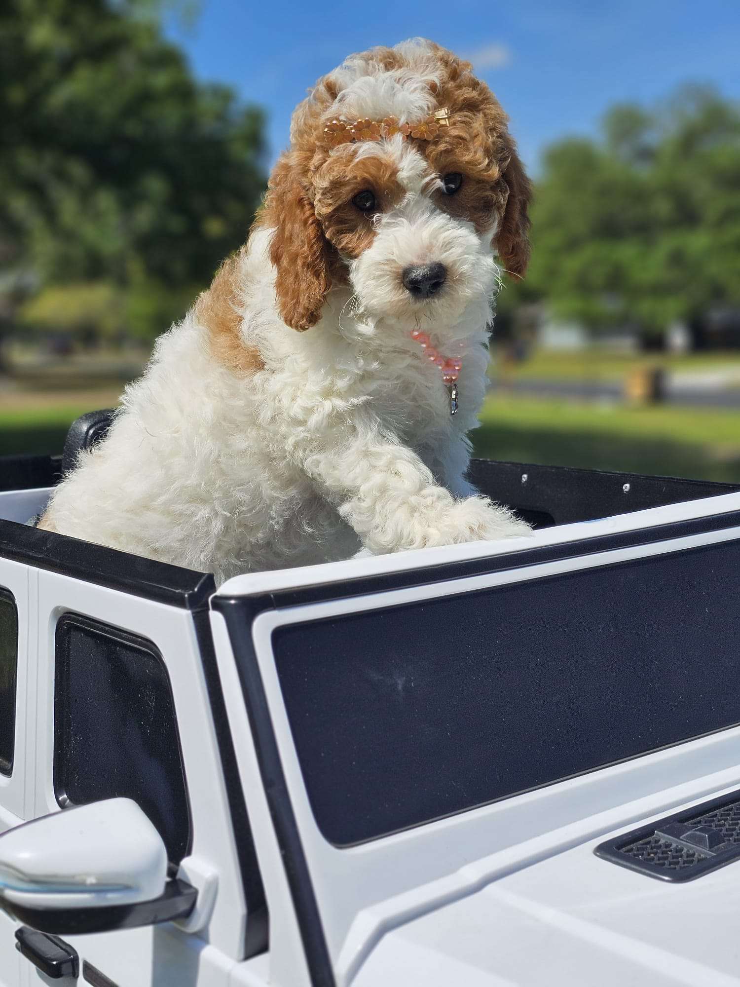 0628cc3f aa67 4357 a924 4b6cebbc3855