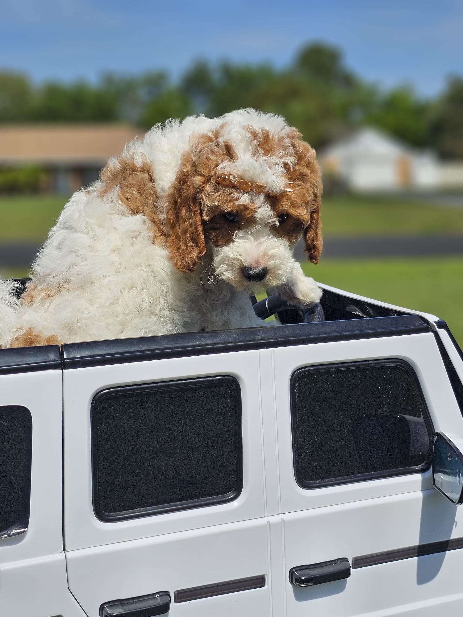 07b958e8 2dbc 476f 9fae 0e870364c3e7