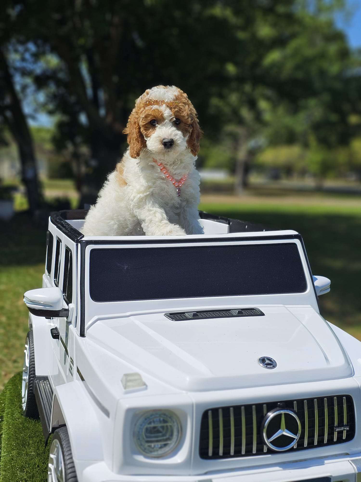 4dbd5d69 b8f8 43f4 af76 042f8eeb1ea6