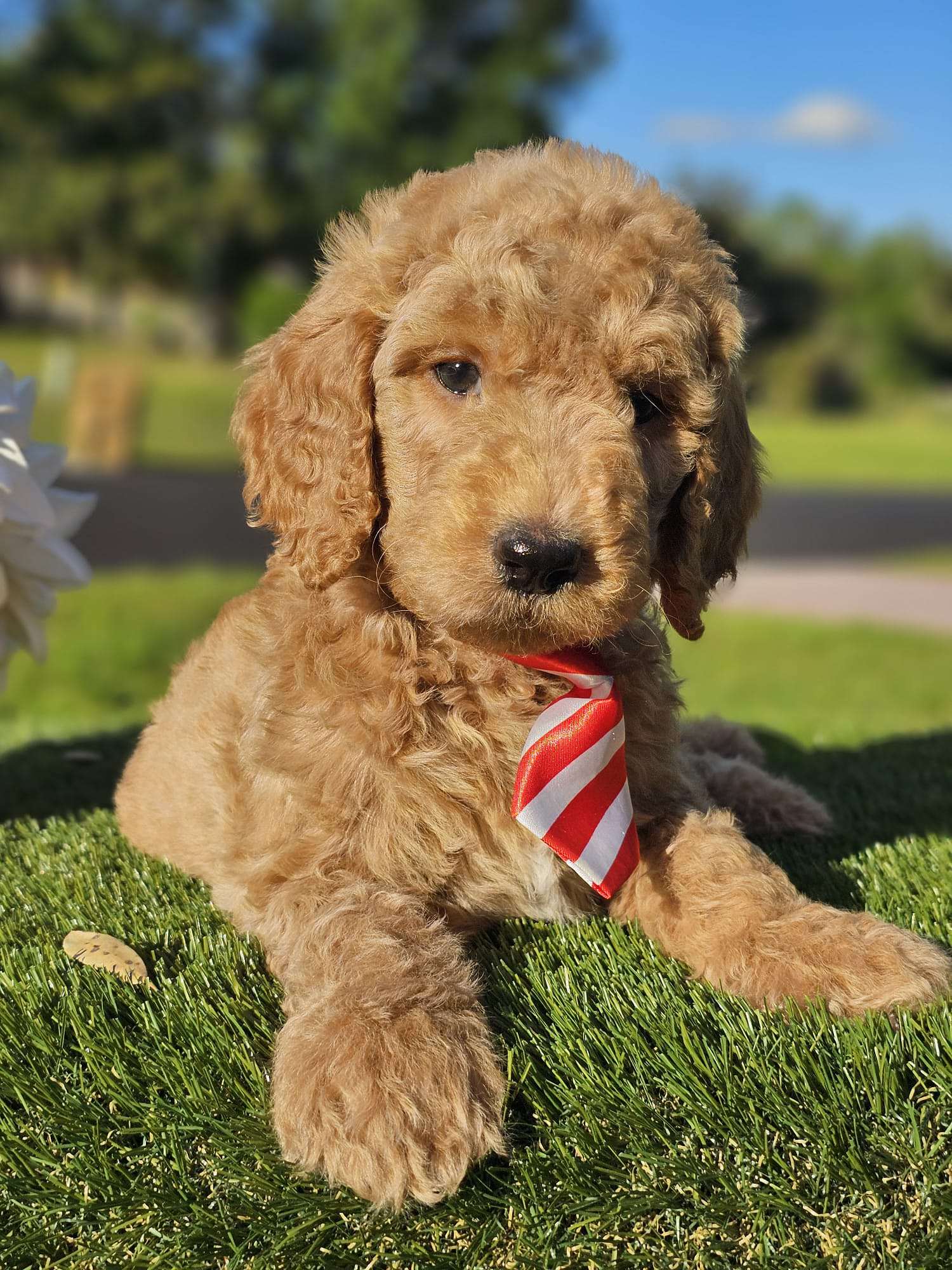 4e9c5774 8875 4cfa ba69 24799b764120