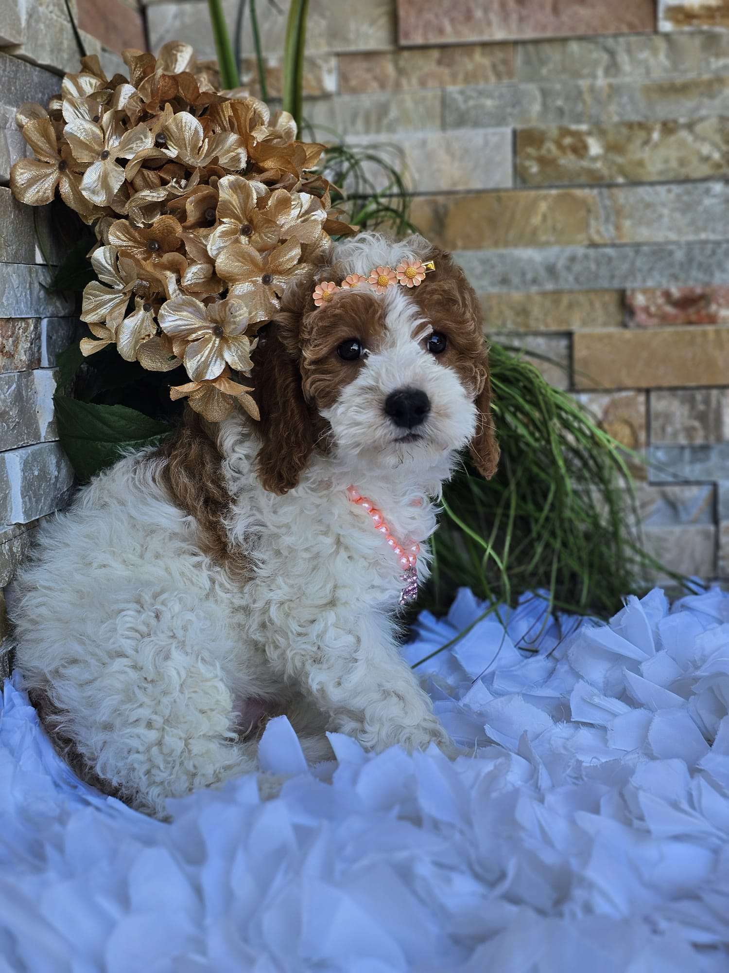 6d16ac73 2292 4ce9 b1bf e396683f9388