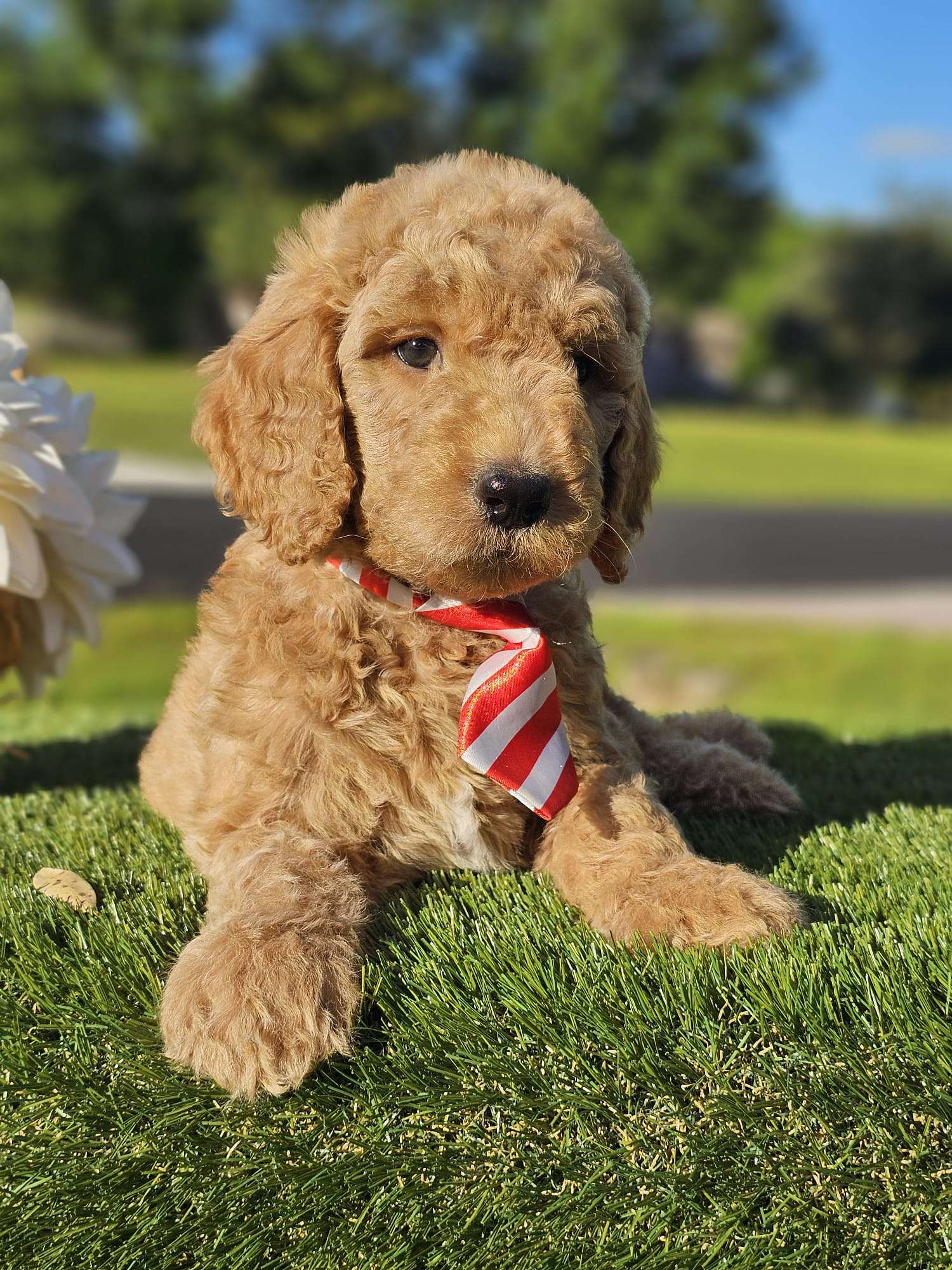 9271238c 9dc5 466d b810 57003e6b8b85