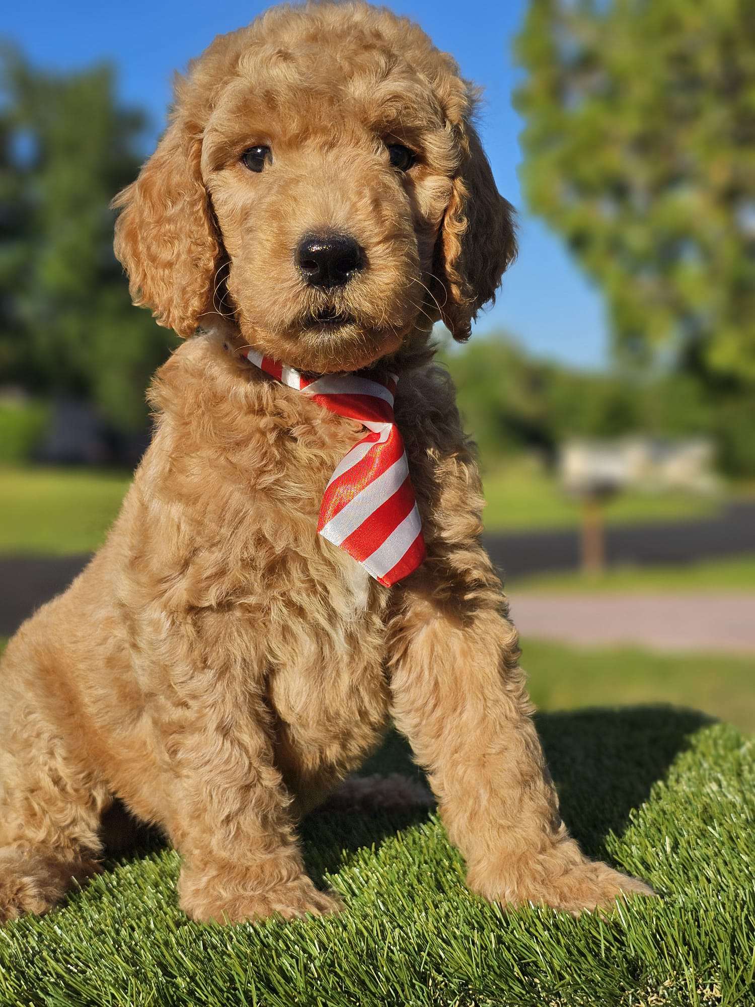 a62b220b 13e2 46a4 af9b c0d5b10c1d6c