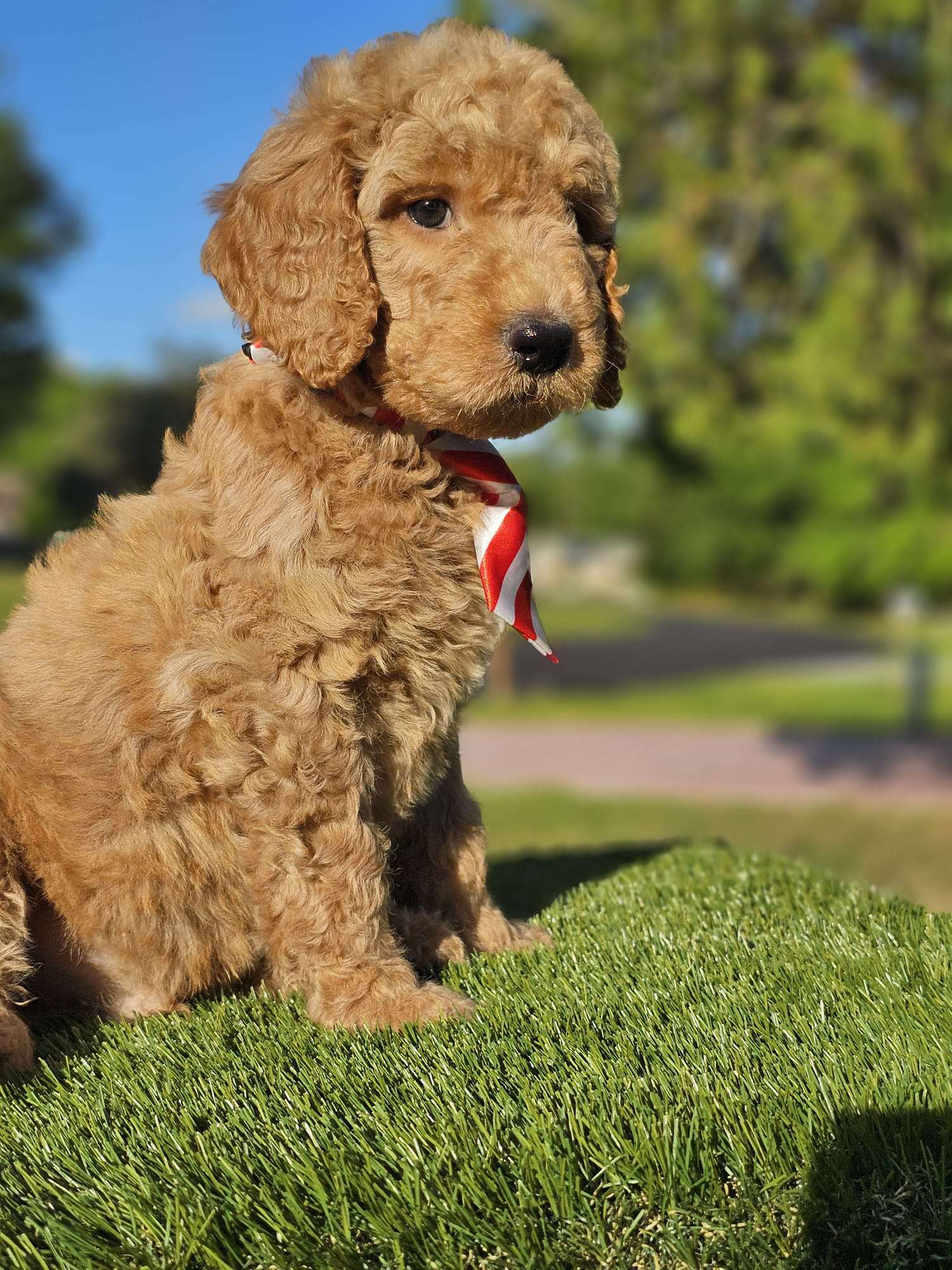 b6e4ca2d 65a6 4329 b6ac 313d3aaeaf51