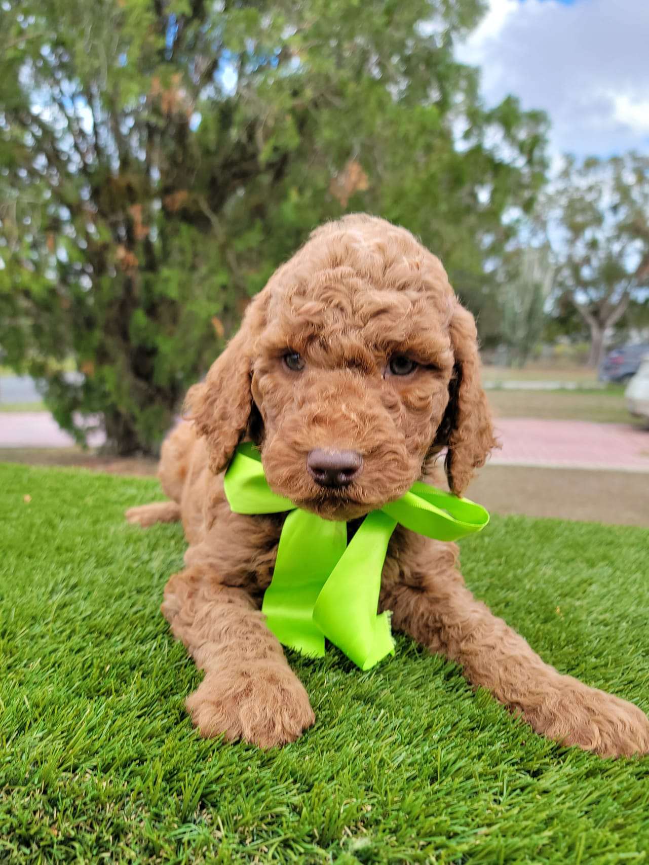 09bc5f24 56e1 44b0 8c55 ce9df73d4e85