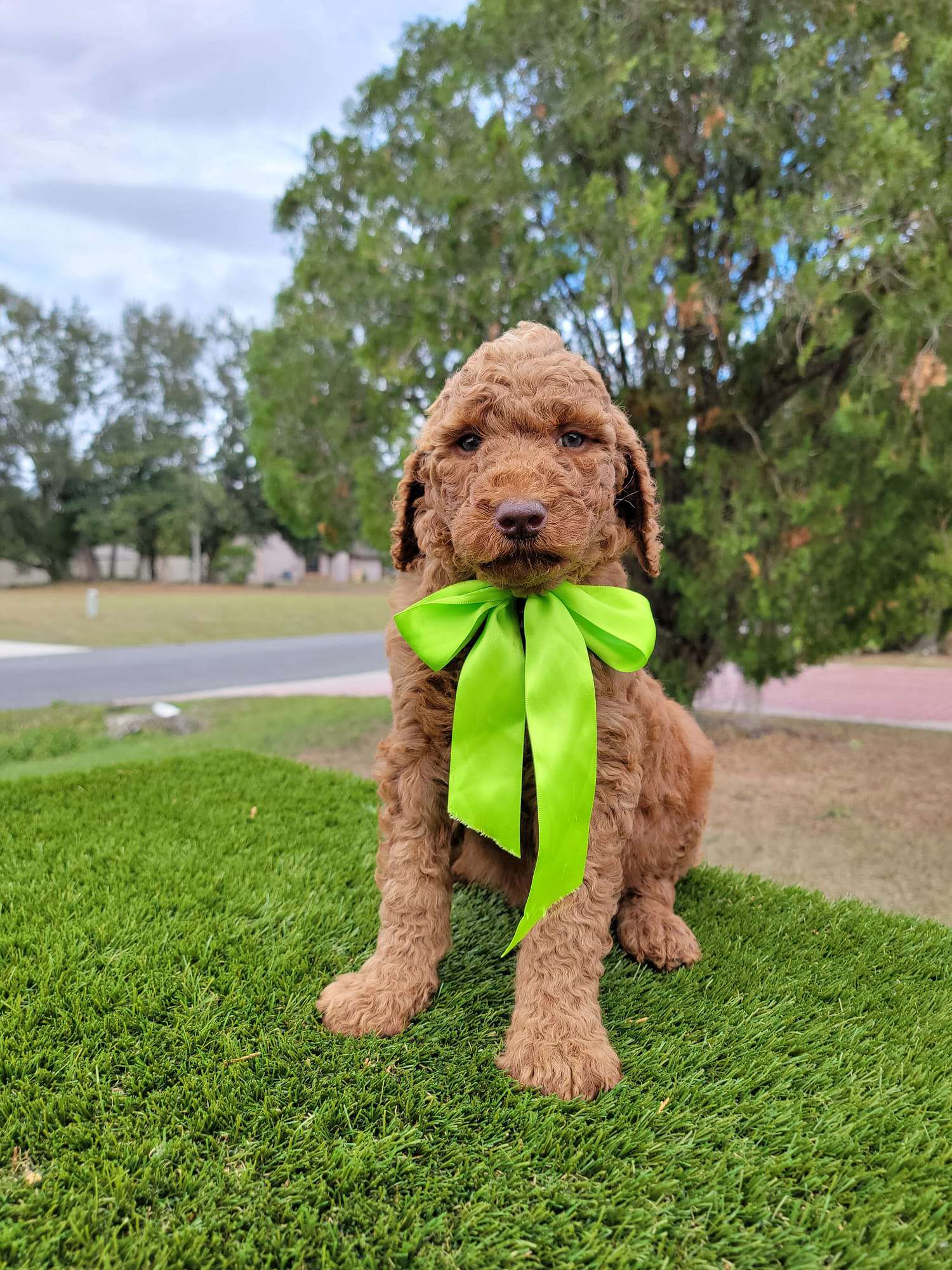 5f1ac97f 88b4 488b 9b6a 695242a3564e