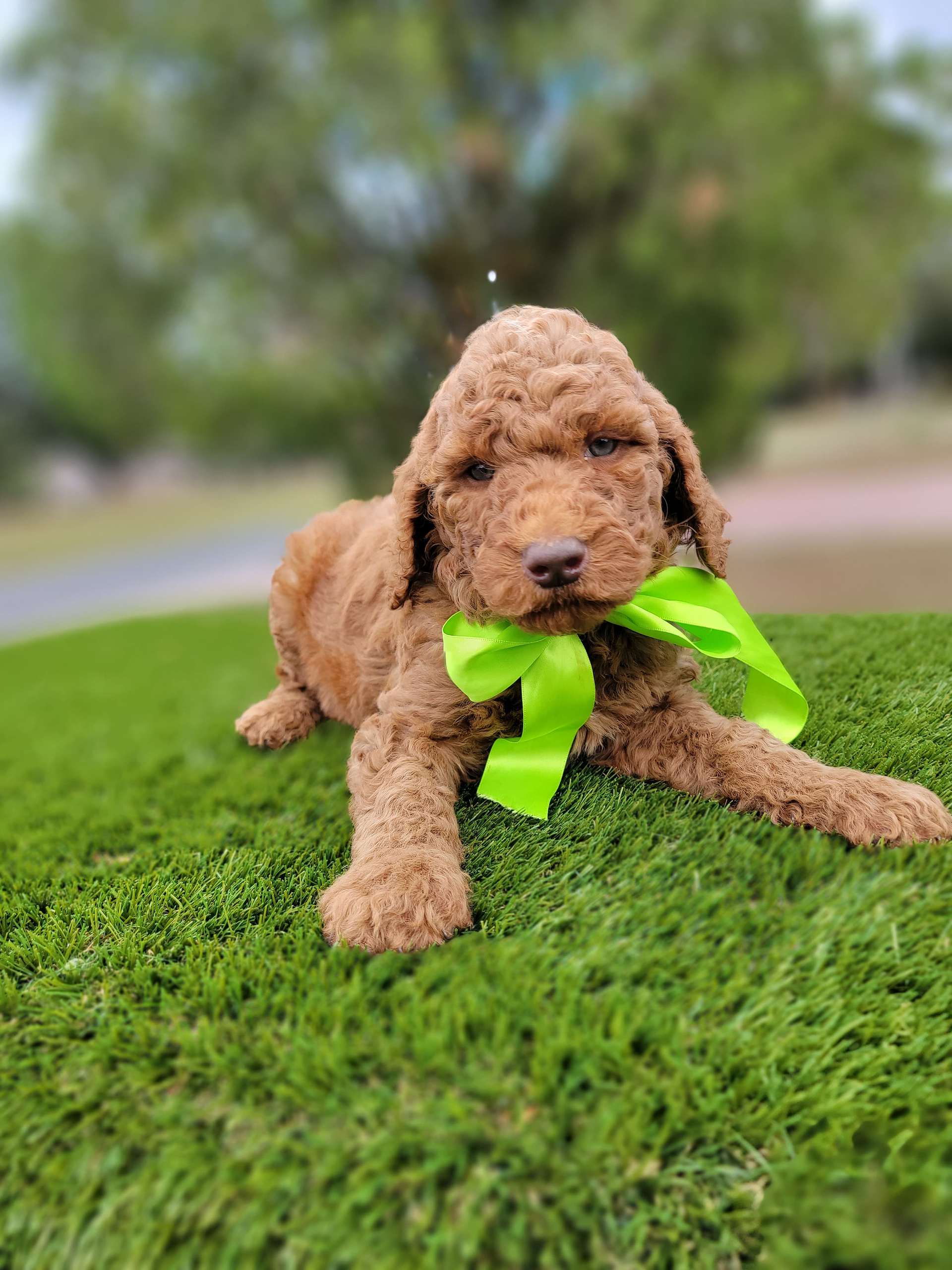 611bdd26 e091 4230 a00a d567d2e5e227