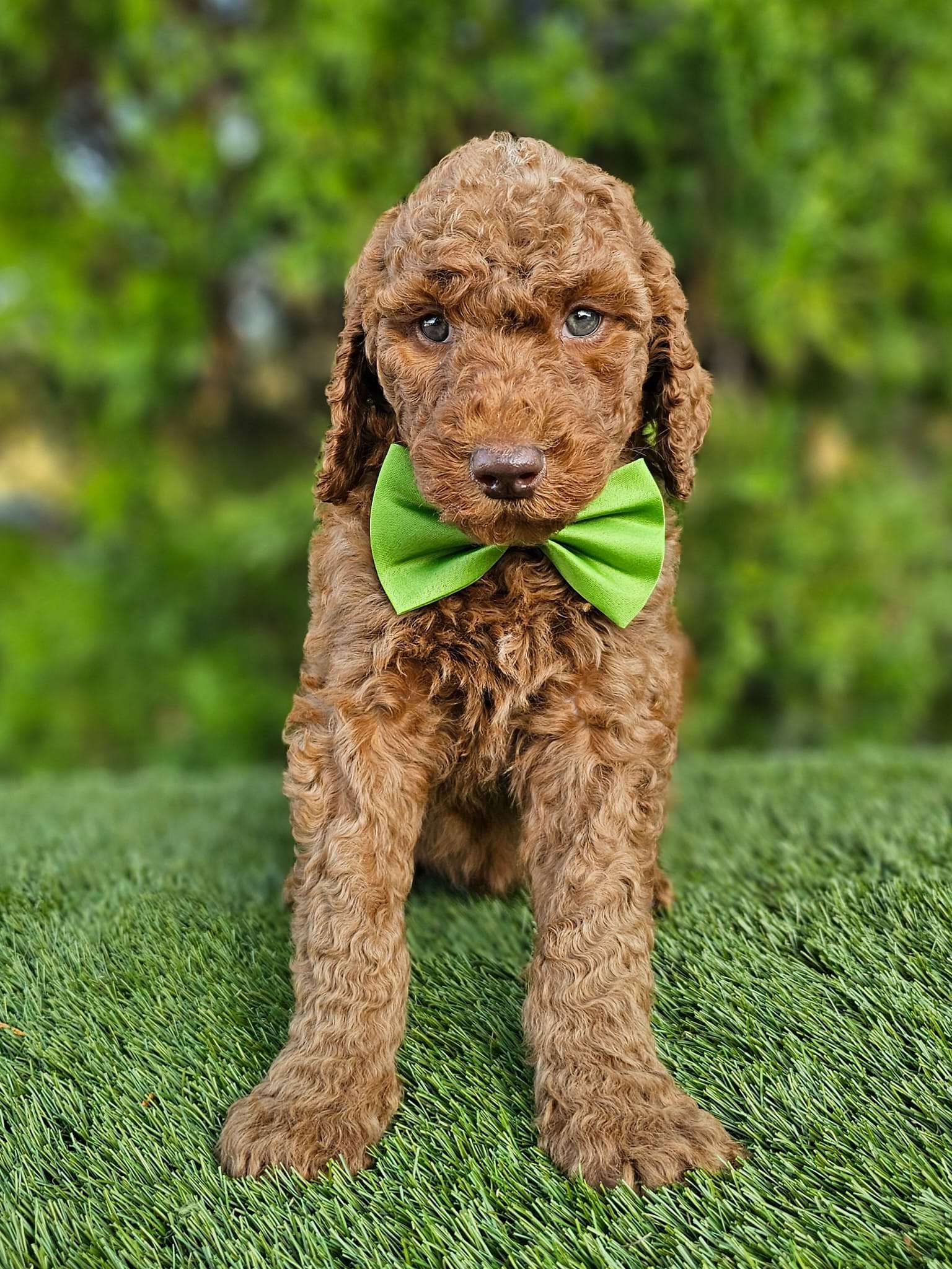 94925ff4 07a5 4596 a5e0 7beeb8430fff