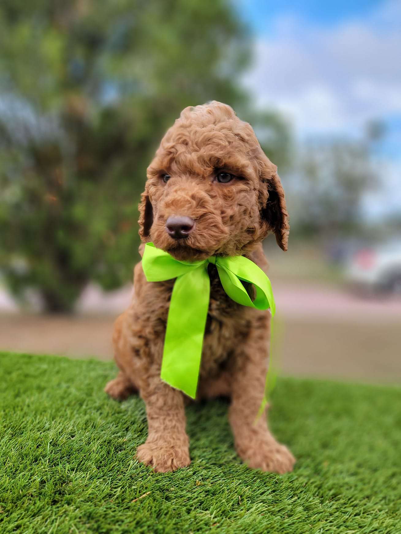 9b2e4f0e ed91 4828 b89d cc68074aea3c