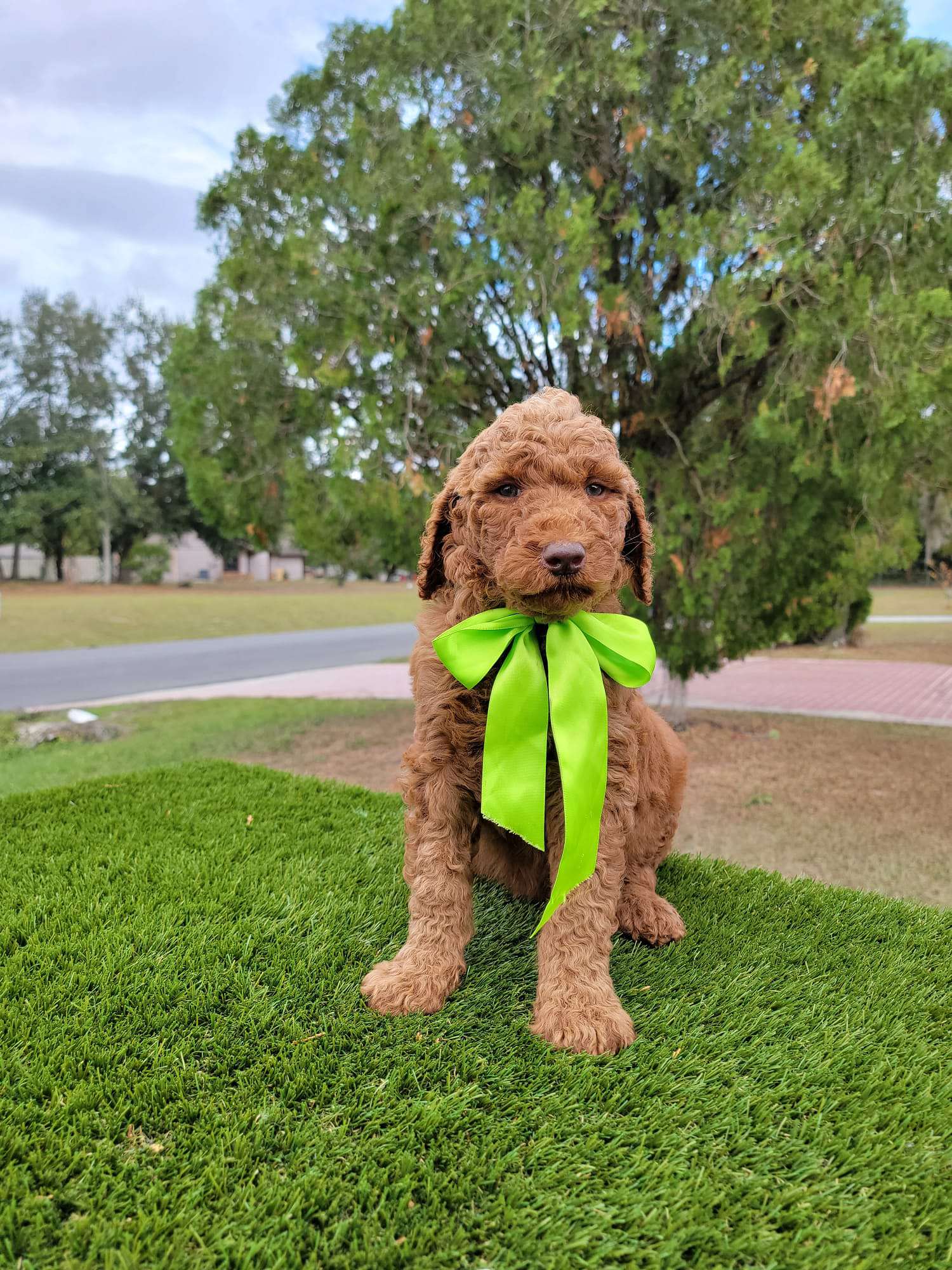 af06c467 fda3 4174 ac49 a7c86fb39a3d