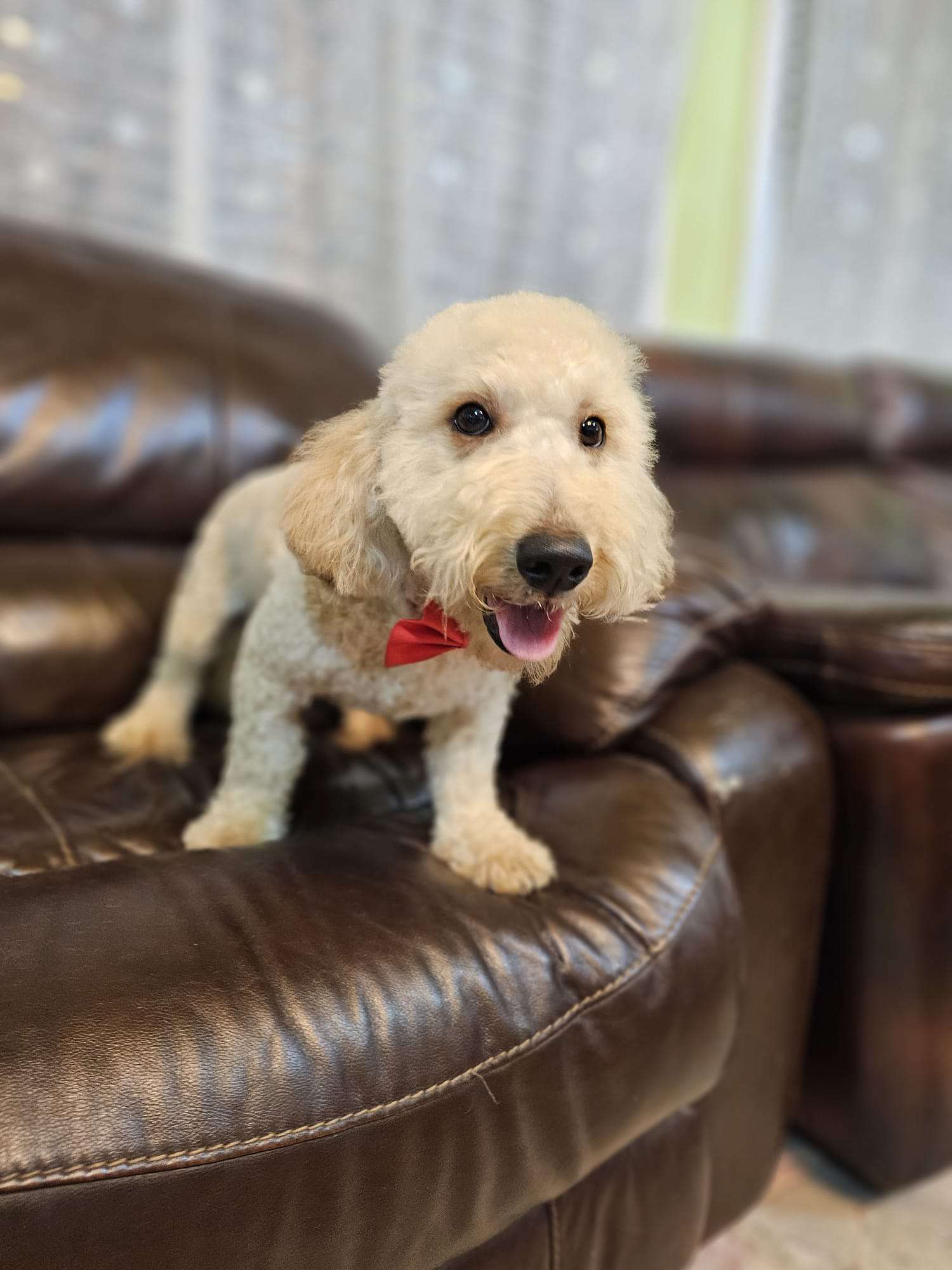 c8823d84 8ca8 4312 8909 b617a1350b34