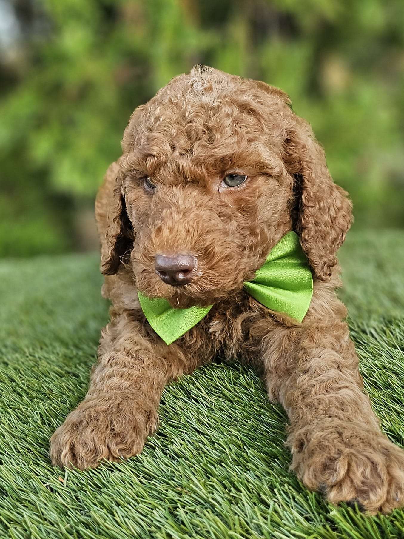 e037355c 055b 474a 9aa8 ebb444ce7c10