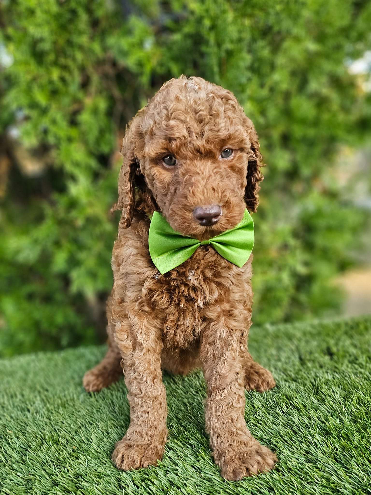 e5bc54a0 2c17 4ab9 9982 b39a4a555ea7