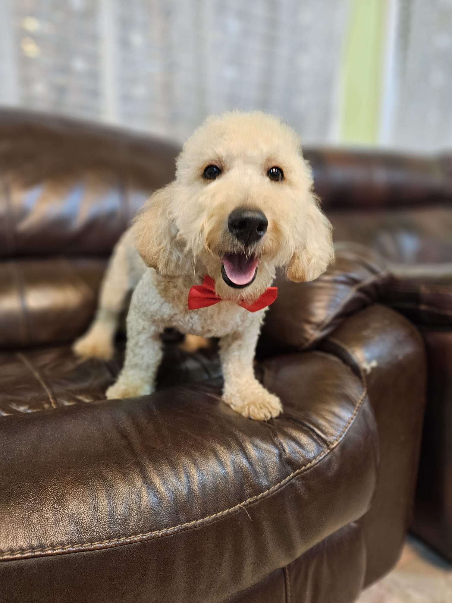 f8c0bc1c 402d 46f7 af4c 3c4f24c6db3d